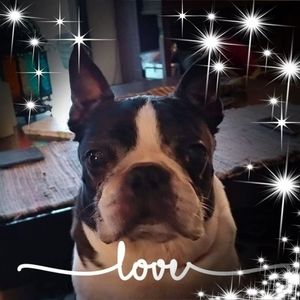 Meet your Posher, Judy